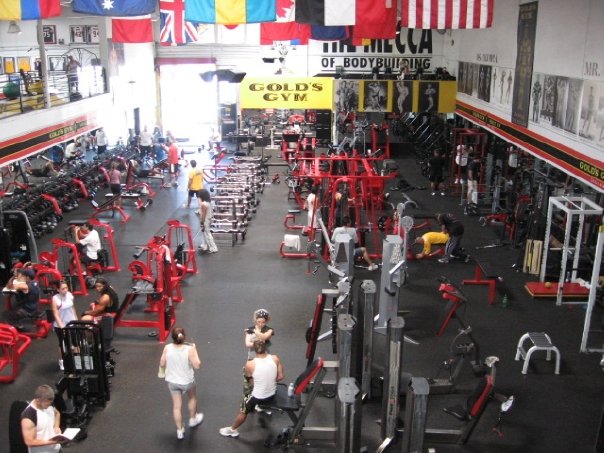 Gold’s Gym - Venice, California.jpg