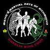 Mengs Martial Arts of Richmond