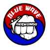 Washington Taekwondo